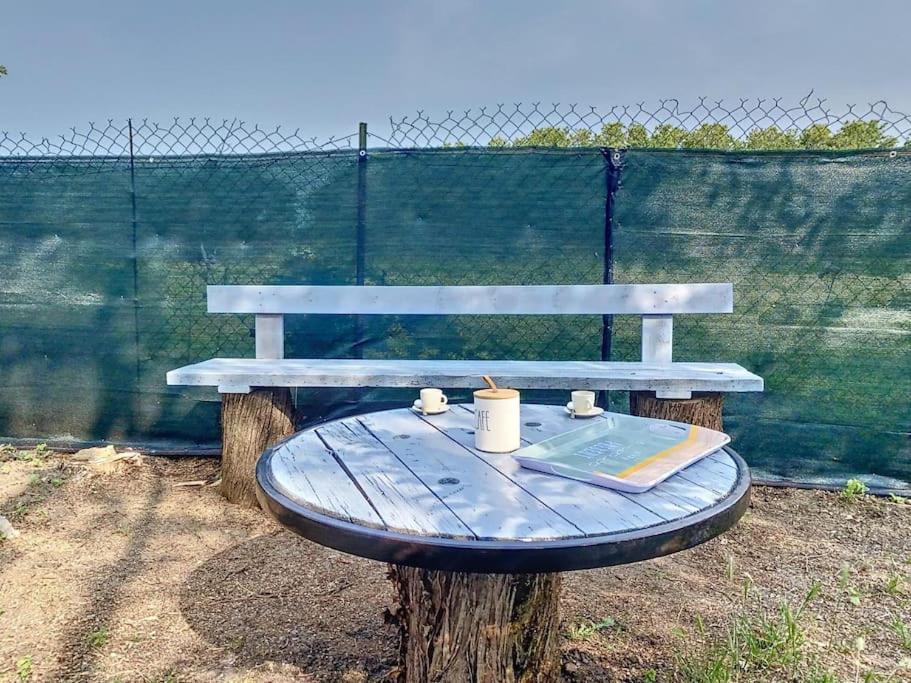 Les Penates Du Pastel - Jardin & Terrasse * Villefranche-de-Lauragais
