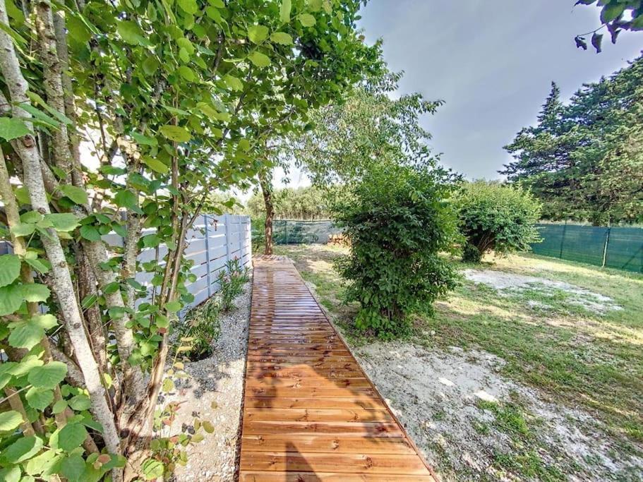 Les Penates Du Pastel - Jardin & Terrasse *
